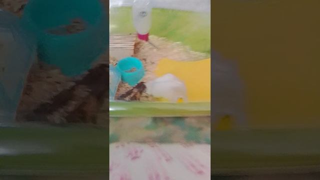 1000037561.mp4 смотреть онлайн