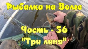 Рыбалка на Волге. Часть - 56. "Три линя".