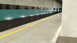 Троицкая линия