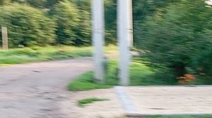прогулка не далёкая