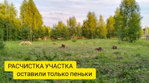 РАСЧИСТКА УЧАСТКА п. Логиново