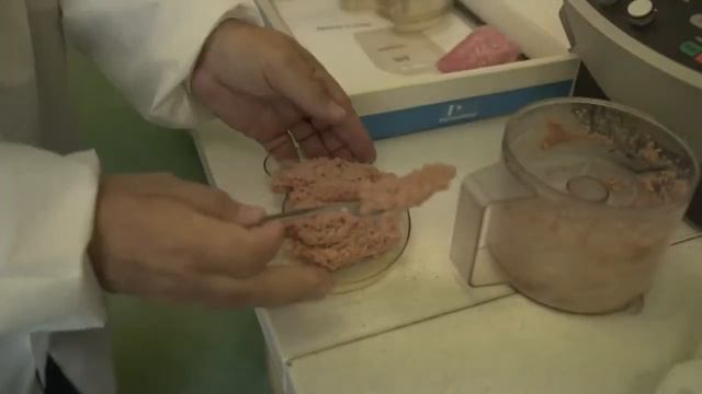 Экспресс-анализатор мяса DA6200