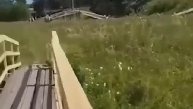 В Вологодской области во время крестного хода под верующими обрушился мост