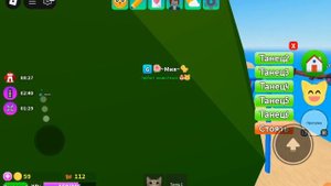 Игра с котятами