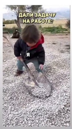 Чернорабочий помошник