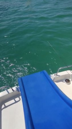 Барабулька. Рыбалка на катамаране. Морская рыбалка. Поймал барабульку.