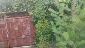 Что то,да сделал на даче,подоконники,шифер на веранду.15.07.25.