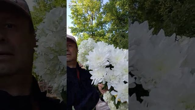 1000003332.mp4
