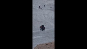 Восхождение на г. Фишт. Июнь 2025. Адыгея.