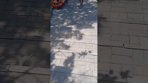 Наш пляж как на курорте! Море#Пляж#Солнце#