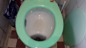 Как избавиться от запаха в туалете