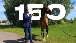 Почему в двигателе лошадиные силы, а не ватты?