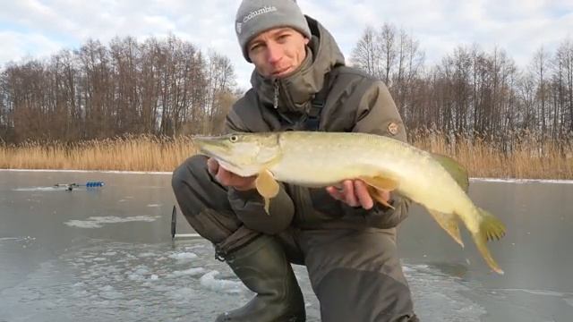 Ловля рыбы