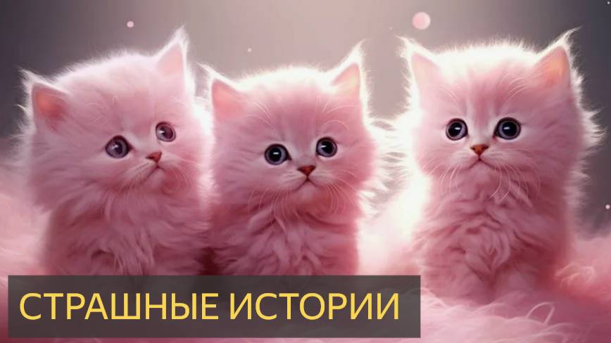 СТРАШНЫЕ ИСТОРИИ НА НОЧЬ ИЗ ЖИЗНИ ЛЮДЕЙ