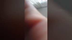 я с чимитом  играю в 99 ночей в лесу спидраним