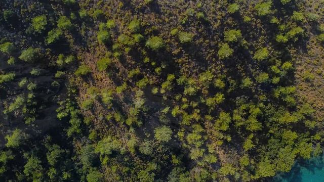 Природа релакс видео - красивые аэросъёмки моря, побережья и природы