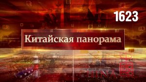 Переговоры в Египте, встречи в Куала-Лумпуре, цифровая экономика ШОС, премия «Орхидея» – (1623)