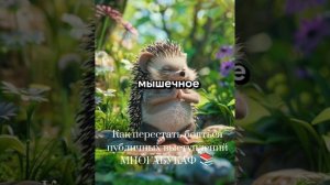 КАК ПЕРЕСТАТЬ БОЯТЬСЯ ПУБЛИЧНЫХ ВЫСТУПЛЕНИЙ