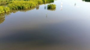 Рыбалка на спиннинг, поплавок и мармышку!

Рыбалка от 1-го лица!