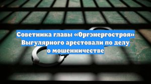 Советника главы «Оргэнергостроя» Выгулярного арестовали по делу о мошенничестве