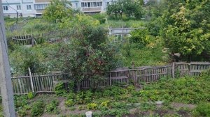 Деревенские огороды, уютная жизнь в деревне