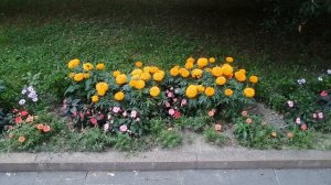 Прогулка по Сочи