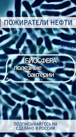ПОЖИРАТЕЛИ НЕФТИ. Полезные бактерии БИОСФЕРЫ. Смотрите  https://rutube.ru/video/90f25a2d0c0