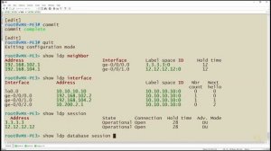 04. Validating LDP