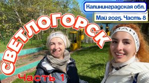СВЕТЛОГОРСК за 1 день🙌🏻// озеро Тихое и СВЕТЛОЁЖИКИ 😄 ФУНИКУЛЕР и обед в старинном КУРКХАУС