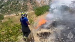 В Чечне с начала лета составлено 180 протоколов за поджоги ландшафта