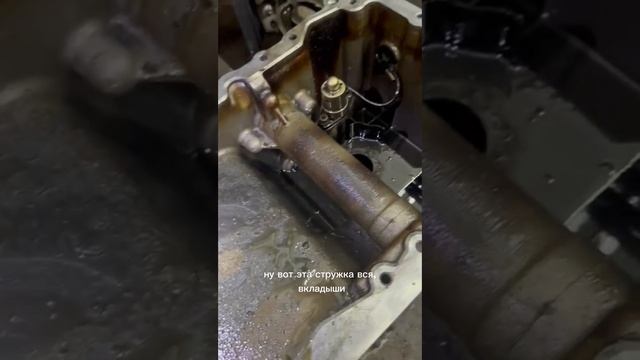 из жизни Мазерати