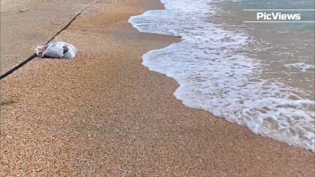 Анапа пляж Джемете и Витязево сегодня 15 июля 2025. Море, погода в Анапе сейчас. Есть ли мазут