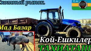 15-07-2025  Скотный рынок