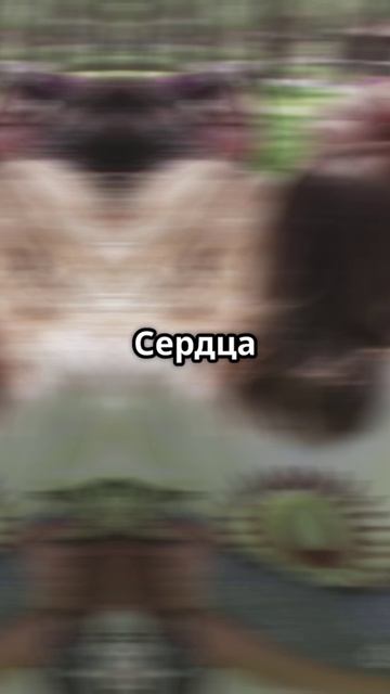 1000002855.mp4 смотреть онлайн