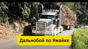 Ямайские водители тростника отправляются в Дальнобой