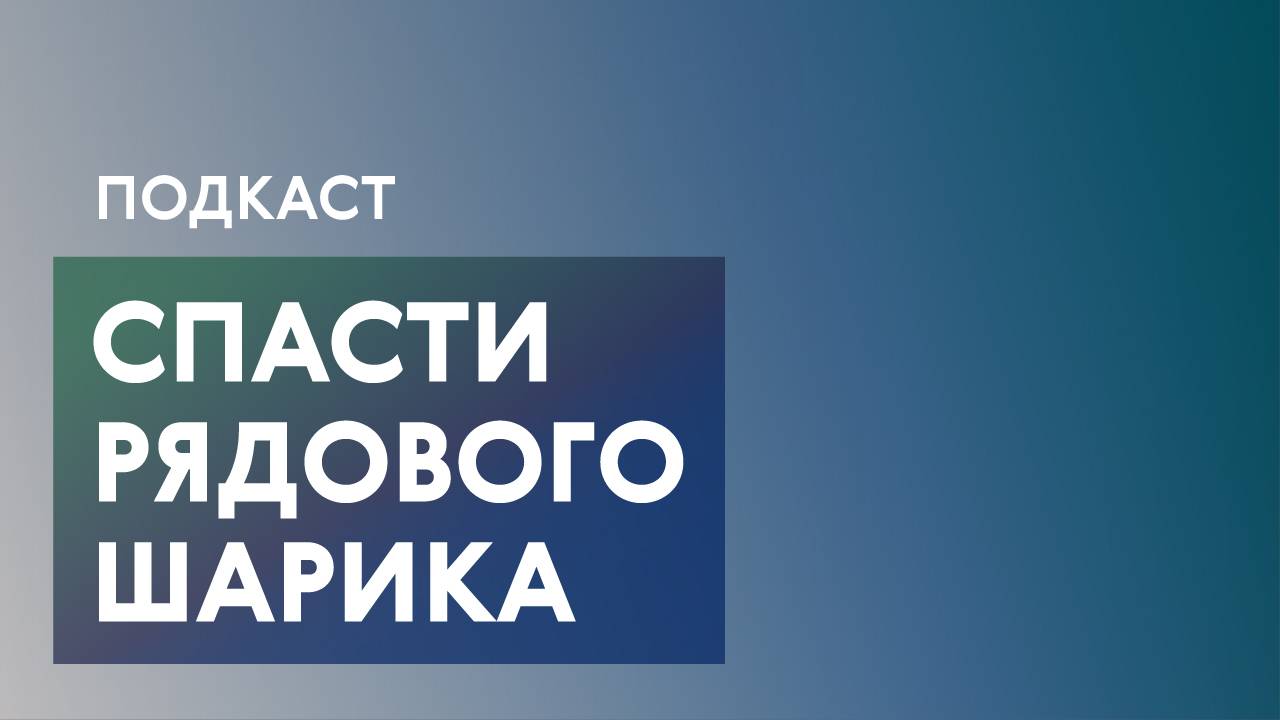 Брошенные, но не забытые: Кто на самом деле заботится о московских котах и собаках?