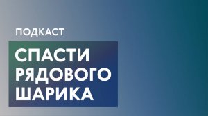 Брошенные, но не забытые: Кто на самом деле заботится о московских котах и собаках?