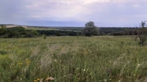 video5454212233712137360