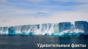 🎥 Антарктида – затерянный мир льда и загадок! ❄️🔍