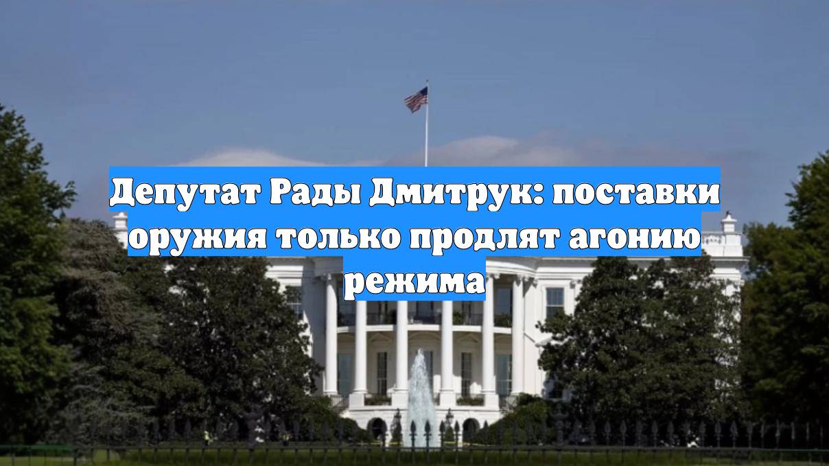 Депутат Рады Дмитрук: поставки оружия только продлят агонию режима