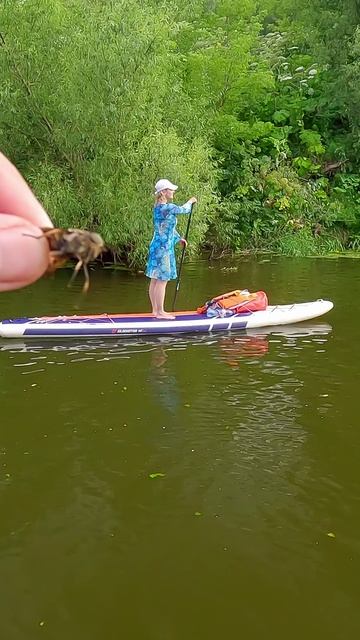 Почему не люблю сплавляться в жару смотреть онлайн