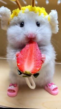 ням ням 😋  мими милашечка