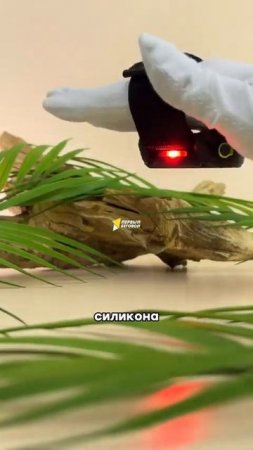 Ищите альтернативу FENIX 6? Тогда вам точно стоит обратить внимание на эту модель
