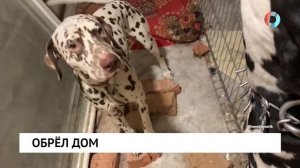 Обрёл дом
