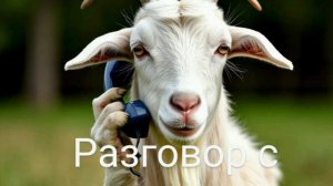 разговор по"честному"
