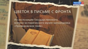 Детали истории: цветок в письме с фронта