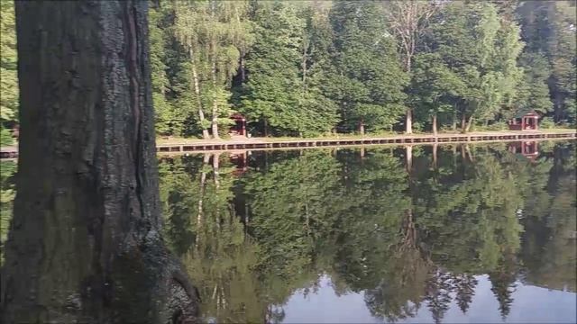 Утренний обзор с нижнего водоёма. Клёвое место, Лосиный остров.