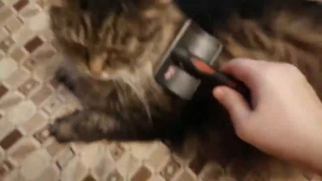 СПА-салон для "сибирячки"))