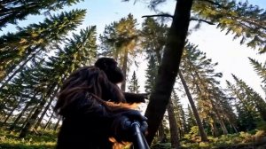 Bigfoot Doni Vlog3 — Где Бурый Утро без медведя в лесу 🐻❌🌲
