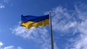 На Украине дефицит кадров в аграрном секторе превысил 30% на фоне мобилизации